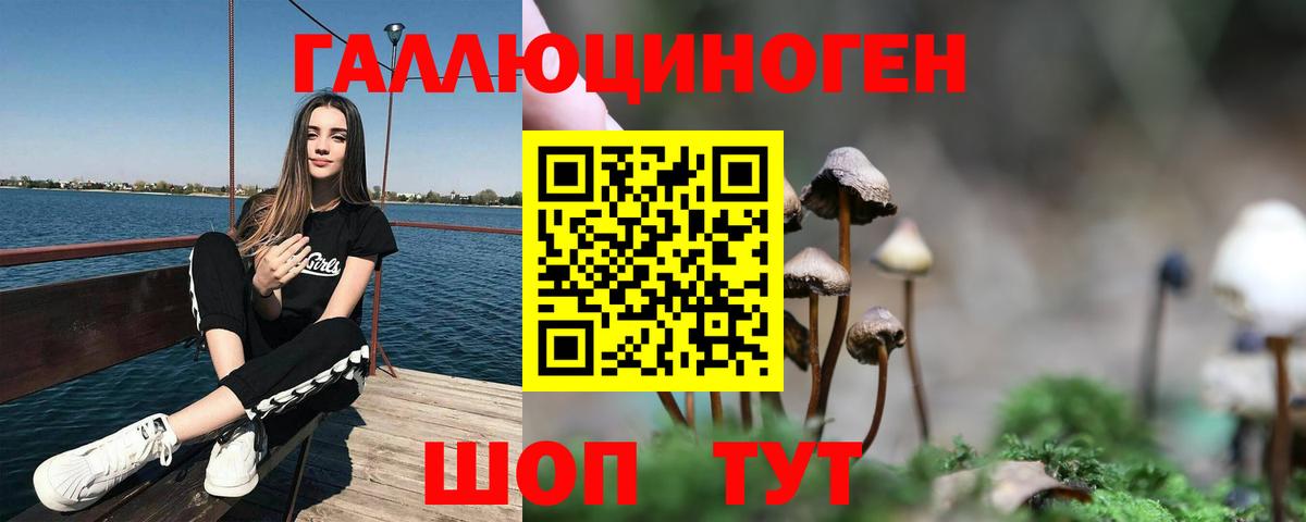 Псилоцибиновые грибы прущие грибы  Вход с VPN  Галлюциногенные грибы GOLDEN TEACHER  Троицк 